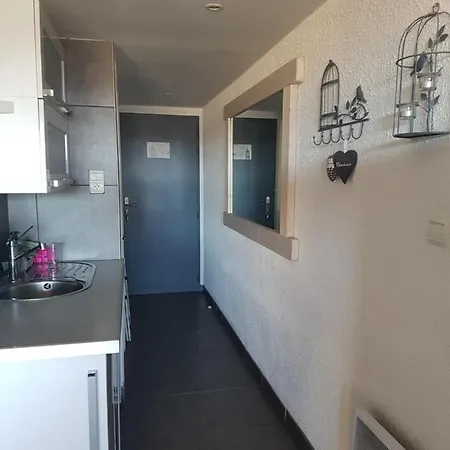 Les Terrasses Du Mirage, De 21 M2 A 90 M2, Linges De Sejour Et Nettoyage Final Inclus Apart Otel *
